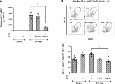 Saccharomyces boulardii Strain CNCM I-745 Modifies the Mononuclear Phagocytes Response in the Small Intestine of Mice Following Salmonella Typhimurium Infection